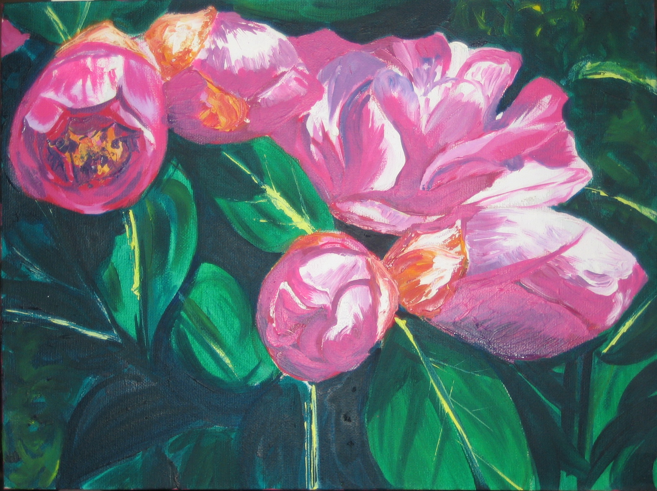 Peonies 2